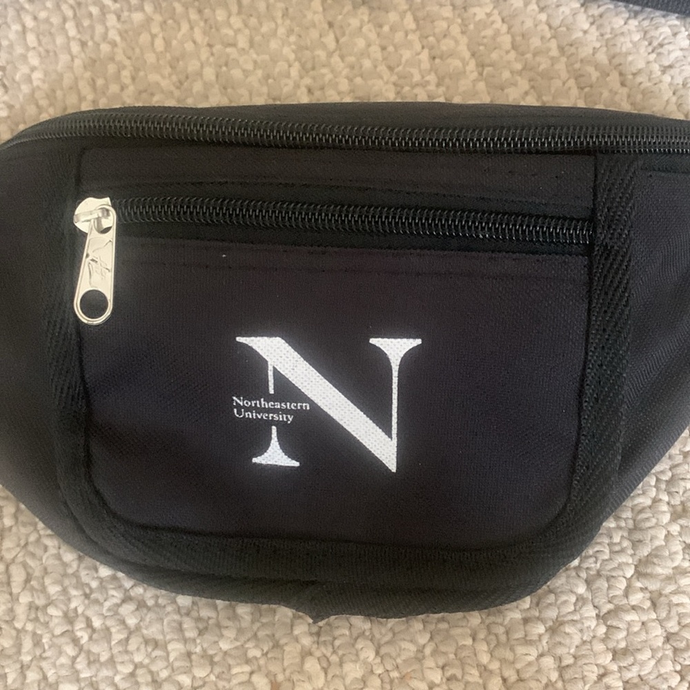 Northeastern Belt Bag
